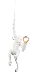 Monkey pendant light